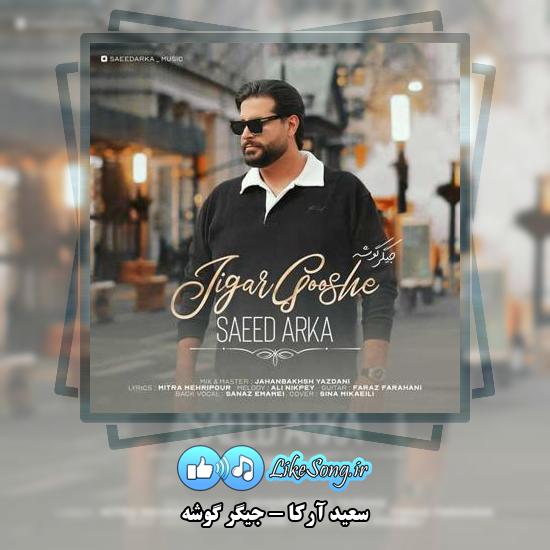 دانلود آهنگ سعید آرکا جیگر گوشه